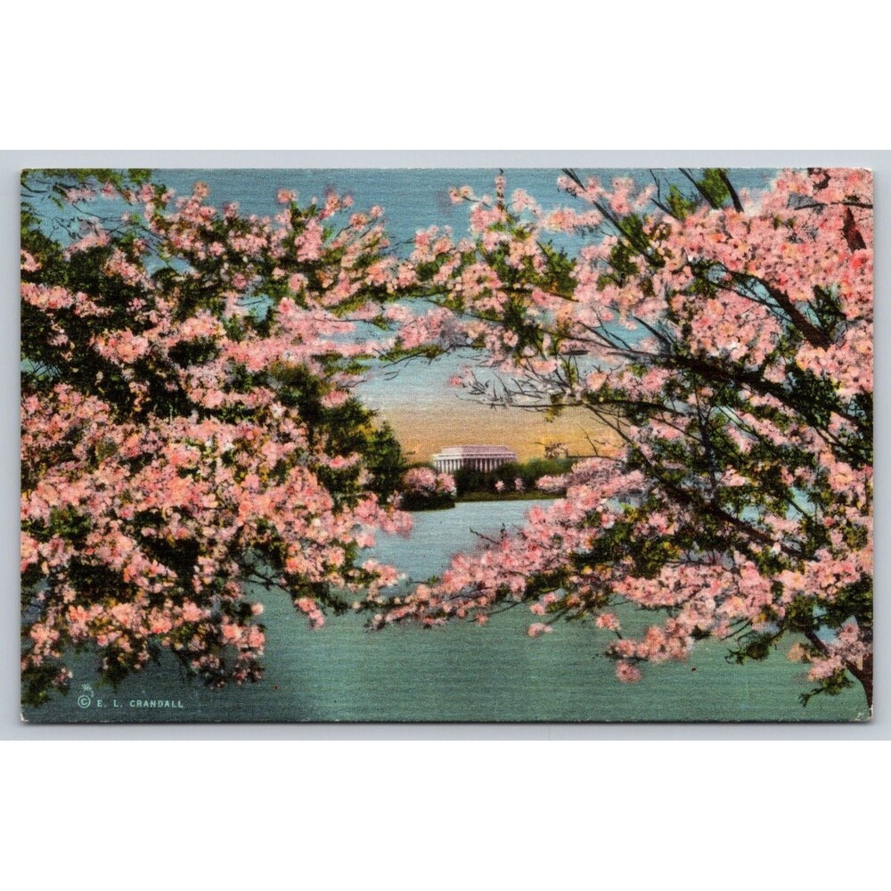 Vintage Washington DC Postcard Lincoln Memorial Cherry Blossoms E.L. Crandall